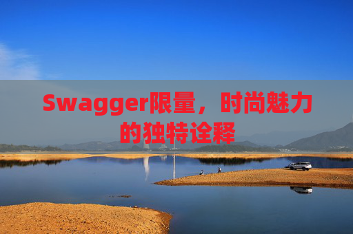 Swagger限量，时尚魅力的独特诠释